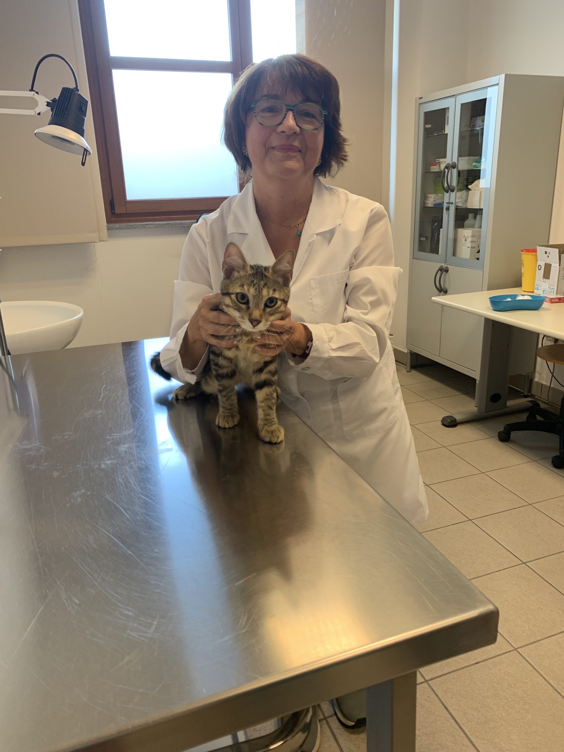 Foto Ambulatorio veterinario sociale gatto